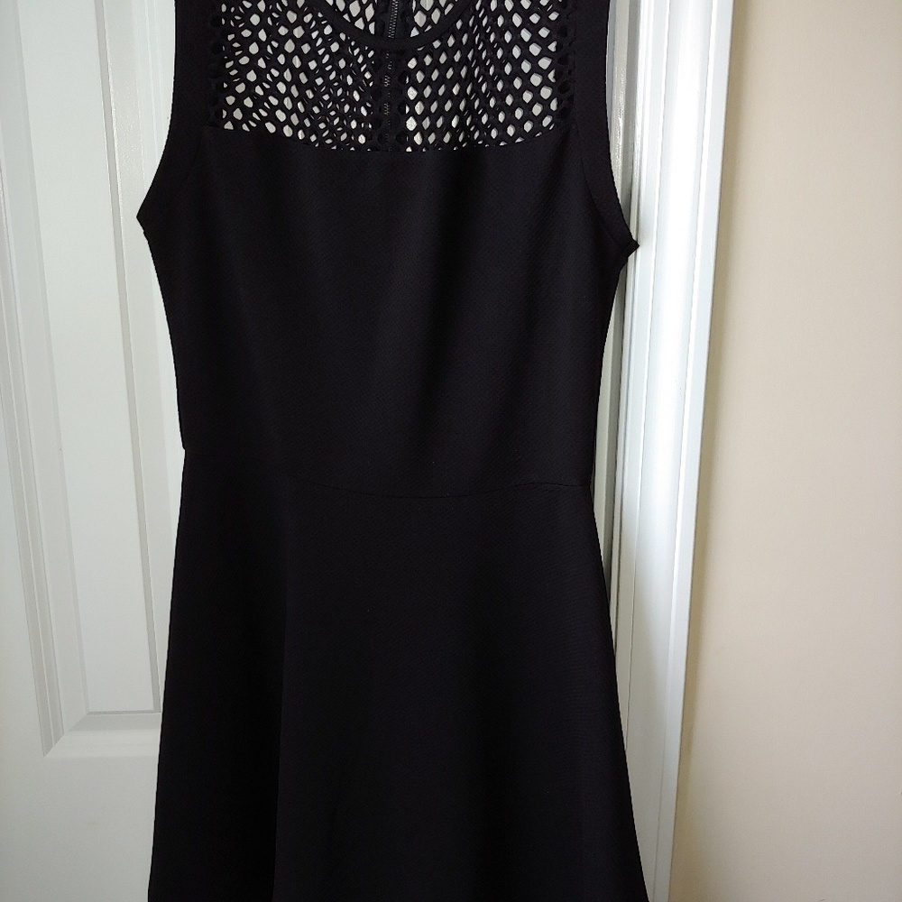 Fishbowl Black Dress with Netting